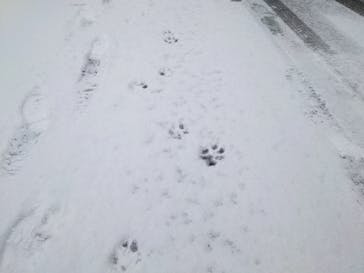 一般社団法人ヘルスケアデザイン秋田に投稿された画像（2024/2/3）