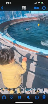 南知多ビーチランド＆南知多おもちゃ王国に投稿された画像（2024/2/3）