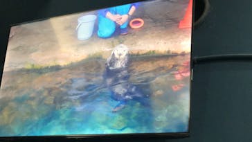 マリンワールド海の中道に投稿された画像（2024/2/4）