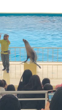 マリンワールド海の中道に投稿された画像（2024/2/4）