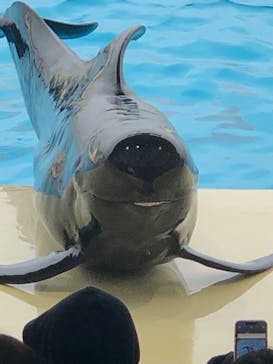 マリンワールド海の中道に投稿された画像（2024/2/4）