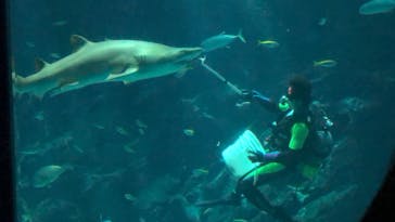 マリンワールド海の中道に投稿された画像（2024/2/4）