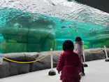 天王寺動物園に投稿された画像（2024/2/4）