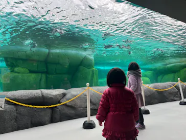 天王寺動物園に投稿された画像（2024/2/4）