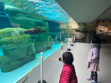 天王寺動物園に投稿された画像（2024/2/4）