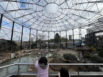 天王寺動物園に投稿された画像（2024/2/4）