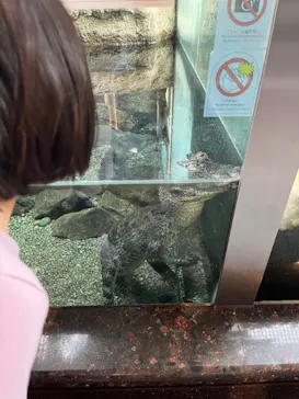 天王寺動物園に投稿された画像（2024/2/4）