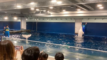 島根県立 しまね海洋館に投稿された画像（2024/2/4）