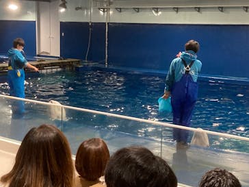 島根県立 しまね海洋館に投稿された画像（2024/2/4）