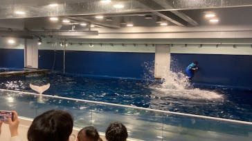 島根県立 しまね海洋館に投稿された画像（2024/2/4）