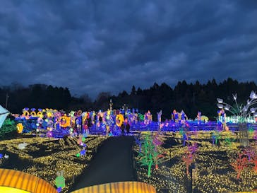 伊豆ぐらんぱる公園に投稿された画像（2024/2/4）