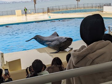 マリンワールド海の中道に投稿された画像（2024/2/4）