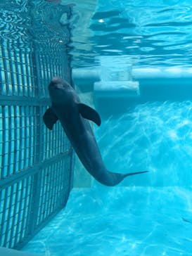 マリンワールド海の中道に投稿された画像（2024/2/4）