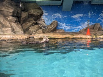 マリンワールド海の中道に投稿された画像（2024/2/4）