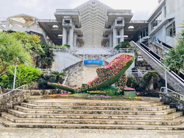 沖縄美ら海水族館に投稿された画像（2024/2/4）