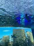 サンシャイン水族館に投稿された画像（2024/2/4）