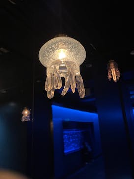 京都水族館に投稿された画像（2024/2/4）