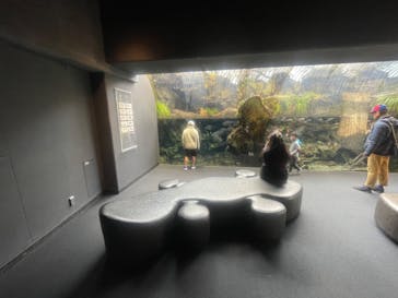 京都水族館に投稿された画像（2024/2/4）