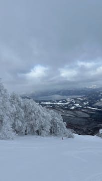 たざわ湖スキー場に投稿された画像（2024/2/4）
