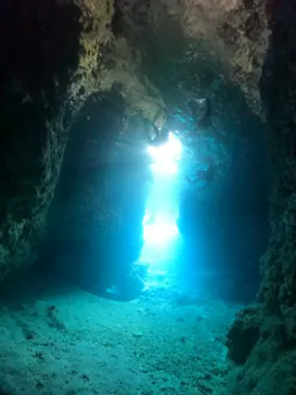 武藤潜水に投稿された画像（2024/2/4）