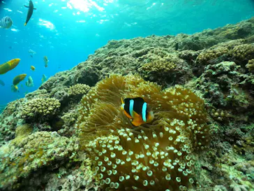 武藤潜水に投稿された画像（2024/2/4）