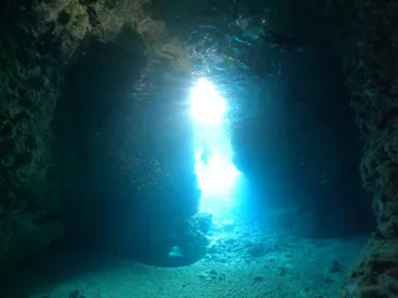 武藤潜水に投稿された画像（2024/2/4）