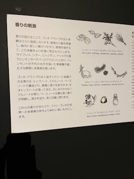 ゴッホ・アライブに投稿された画像（2024/2/4）