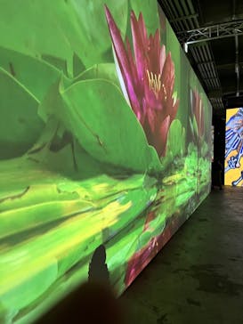 ゴッホ・アライブに投稿された画像（2024/2/4）