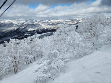 たざわ湖スキー場に投稿された画像（2024/2/4）