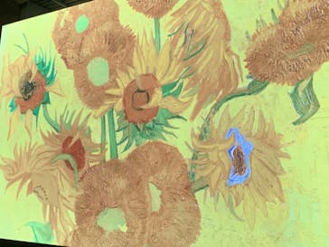 ゴッホ・アライブに投稿された画像（2024/2/4）