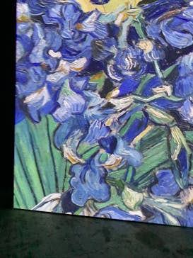 ゴッホ・アライブに投稿された画像（2024/2/4）