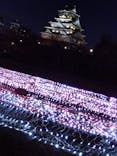 大阪城イルミナージュに投稿された画像（2024/2/4）
