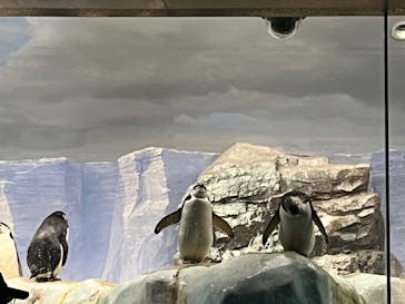 名古屋港水族館に投稿された画像（2024/2/4）