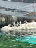 天王寺動物園に投稿された画像（2024/2/4）