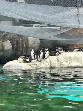 天王寺動物園に投稿された画像（2024/2/4）