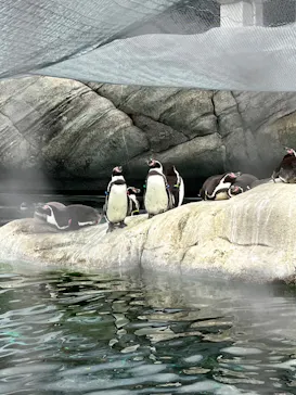 天王寺動物園に投稿された画像（2024/2/4）