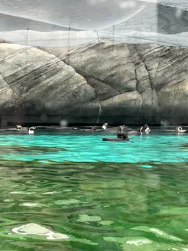 天王寺動物園に投稿された画像（2024/2/4）