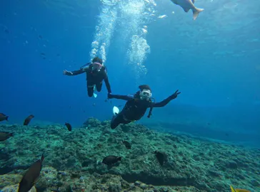 武藤潜水に投稿された画像（2024/2/4）