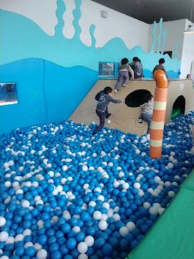 伊豆・三津シーパラダイスに投稿された画像（2024/2/4）