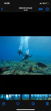 武藤潜水に投稿された画像（2024/2/4）