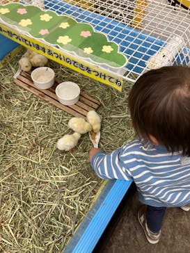 東京あそびマーレに投稿された画像（2024/2/4）