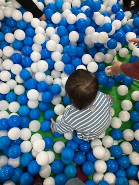 東京あそびマーレに投稿された画像（2024/2/4）