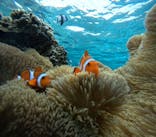 宮古島 ADVENTURE PiPi（ミヤコジマ アドベンチャー ピピ）に投稿された画像（2024/2/4）