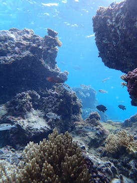 宮古島 ADVENTURE PiPi（ミヤコジマ アドベンチャー ピピ）に投稿された画像（2024/2/4）