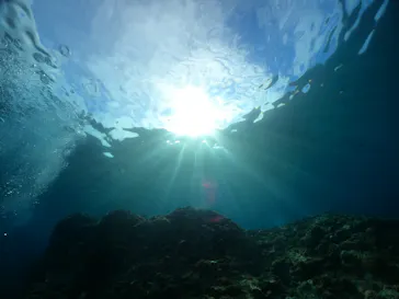 武藤潜水に投稿された画像（2024/2/4）