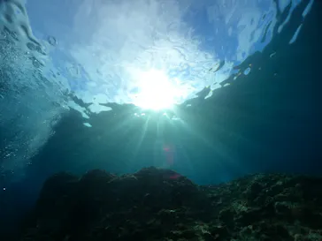 武藤潜水に投稿された画像（2024/2/4）