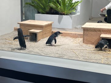 AOAO SAPPOROに投稿された画像（2024/2/4）