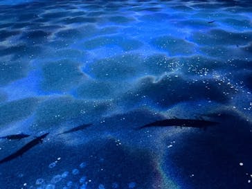 AOAO SAPPOROに投稿された画像（2024/2/4）