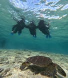 宮古島 ADVENTURE PiPi（ミヤコジマ アドベンチャー ピピ）に投稿された画像（2024/2/4）