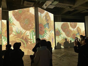 ゴッホ・アライブに投稿された画像（2024/2/4）